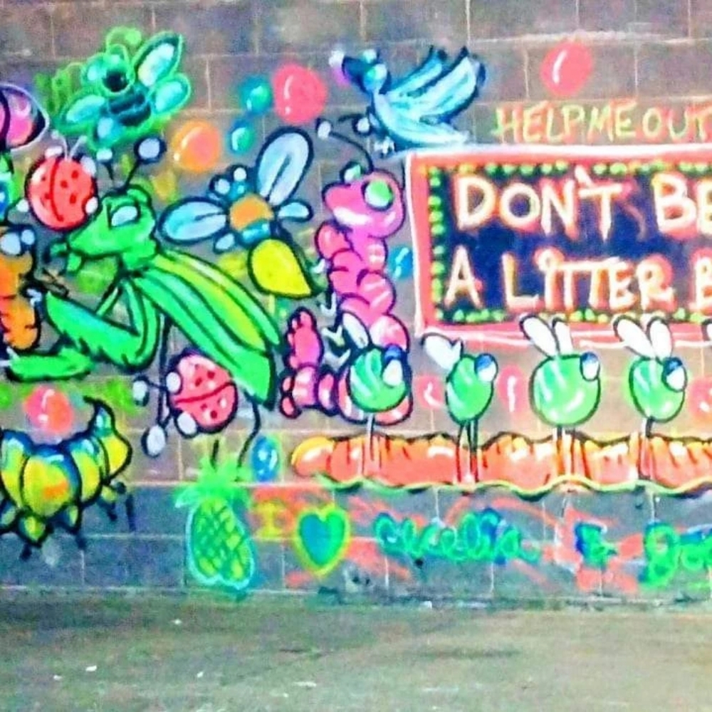 Your Dream Graffiti Wall Mural Art